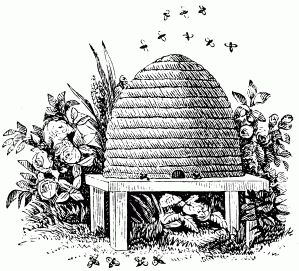 Masonic Beehive