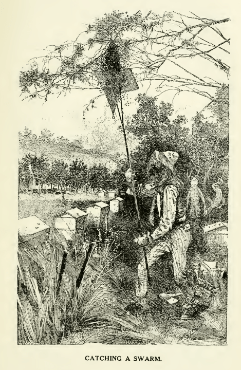 Screen Shot 2016-02-28 at 11.07.49