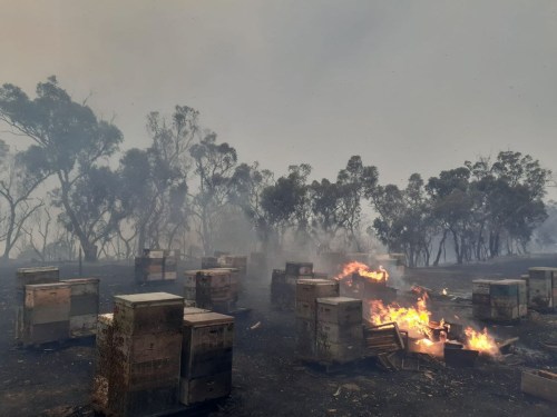 Australian Beehives on Fire